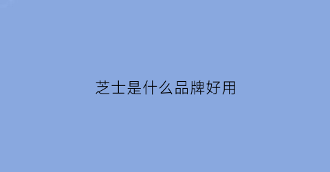 芝士是什么品牌好用(芝士什么牌子)