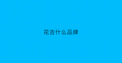 花吉什么品牌(花吉女装有实体店吗)