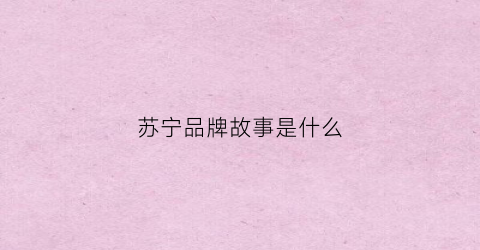 苏宁品牌故事是什么(苏宁背后的故事)