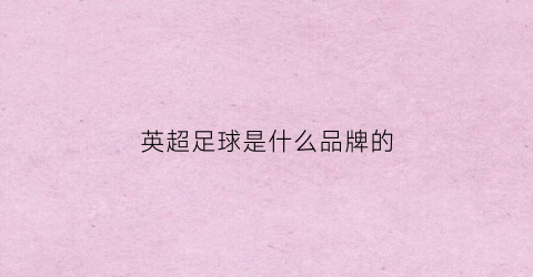 英超足球是什么品牌的(英超足球是什么品牌的鞋)