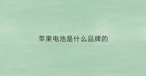 苹果电池是什么品牌的(苹果电池是哪个品牌的)