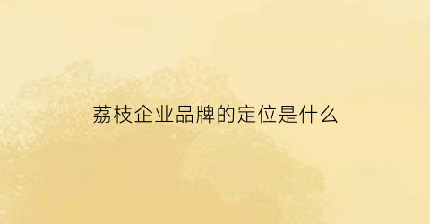 荔枝企业品牌的定位是什么(荔枝产品策略)