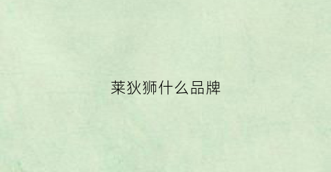 莱狄狮什么品牌(莱狄狮品牌怎么样)