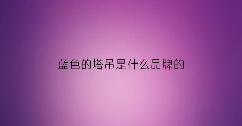 蓝色的塔吊是什么品牌的(蓝色塔吊和黄色塔吊的区别)