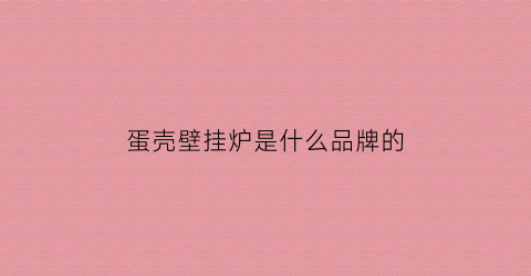 蛋壳壁挂炉是什么品牌的(蛋壳壁挂炉是什么品牌的)