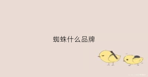 蜘蛛什么品牌(蜘蛛什么牌子的标志)