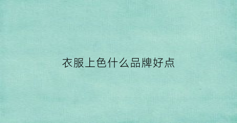 衣服上色什么品牌好点(衣服上色什么品牌好点呢)