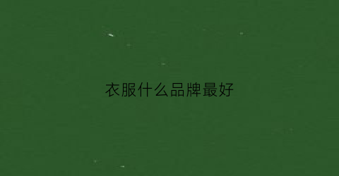 衣服什么品牌最好(衣服什么牌子质量好品牌排行榜)