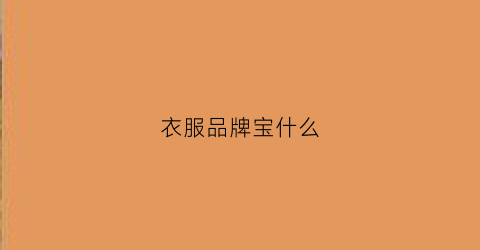 衣服品牌宝什么(宝什么牌子的男装)