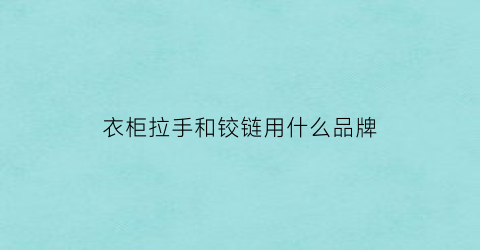 衣柜拉手和铰链用什么品牌(衣柜拉手哪个牌子的好)