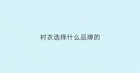 衬衣选择什么品牌的(衬衣选择什么品牌的比较好)