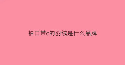 袖口带c的羽绒是什么品牌(羽绒服袖子上数字什么意思)