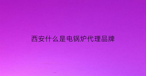 西安什么是电锅炉代理品牌(西安电锅炉批发市场)