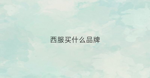 西服买什么品牌(西服买什么品牌的)