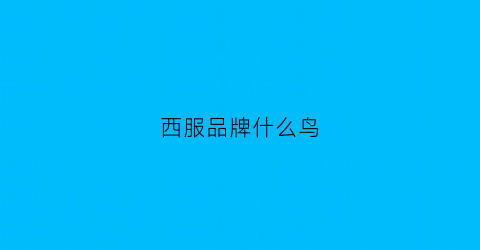 西服品牌什么鸟(西服品牌)