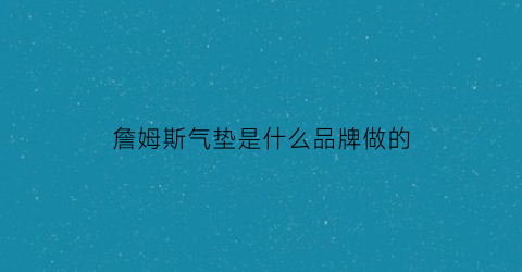 詹姆斯气垫是什么品牌做的(詹姆斯的气垫能承受多少斤)