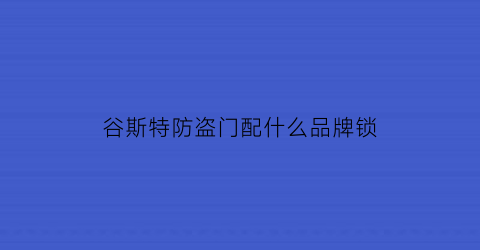 谷斯特防盗门配什么品牌锁(谷斯特防盗门配什么品牌锁芯)