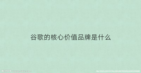 谷歌的核心价值品牌是什么(谷歌的核心品牌价值观是什么)