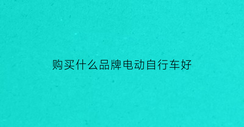 购买什么品牌电动自行车好(购买什么品牌电动自行车好呢)