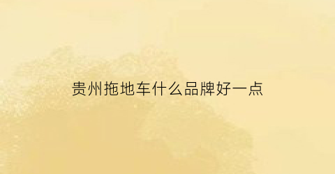 贵州拖地车什么品牌好一点(贵州拖地车什么品牌好一点的)