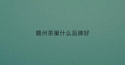 赣州茶巢什么品牌好(赣州茶巢加盟)