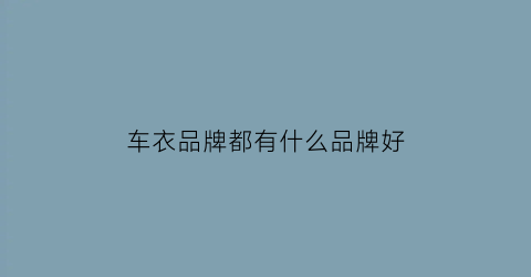车衣品牌都有什么品牌好(车衣的品牌有哪些品牌)
