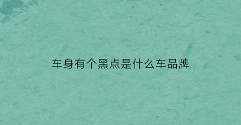 车身有个黑点是什么车品牌(车身小黑点是什么)