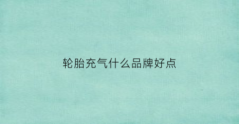 轮胎充气什么品牌好点