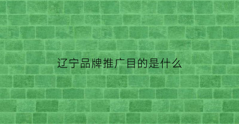 辽宁品牌推广目的是什么(辽宁品牌建设的对策)