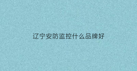 辽宁安防监控什么品牌好(辽宁安防监控什么品牌好点)