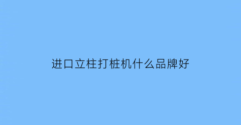 进口立柱打桩机什么品牌好(德国进口打桩机)