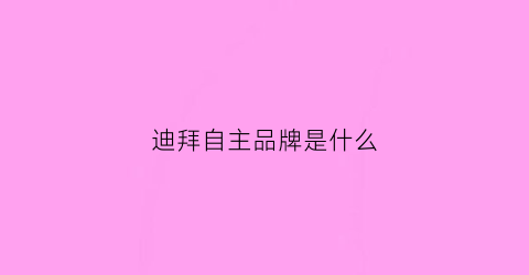 迪拜自主品牌是什么(迪拜是什么公司)