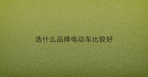 选什么品牌电动车比较好(买什么品牌的电动车好)