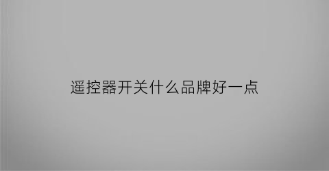 遥控器开关什么品牌好一点(摇控开关哪个牌子好)