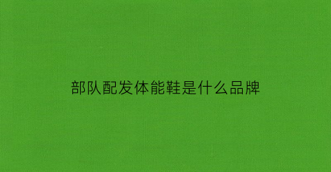 部队配发体能鞋是什么品牌(部队配发的体能服多少钱一套)