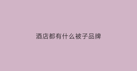 酒店都有什么被子品牌(酒店都有什么被子品牌的)