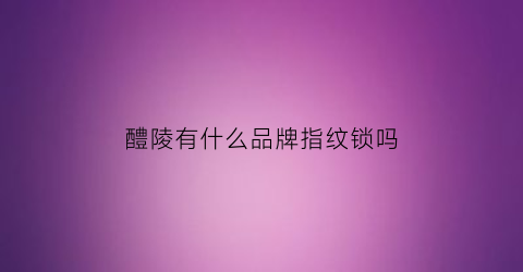 醴陵有什么品牌指纹锁吗