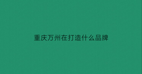 重庆万州在打造什么品牌(重庆万州有什么大项目)