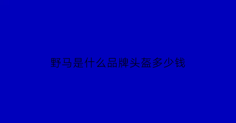 野马是什么品牌头盔多少钱(野马头盔属于什么档次的)