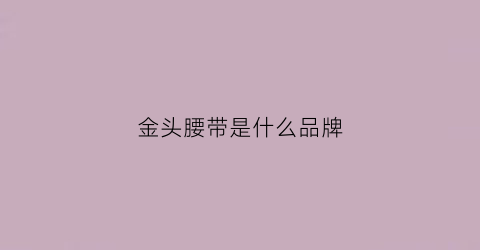 金头腰带是什么品牌(纯金腰带扣头)