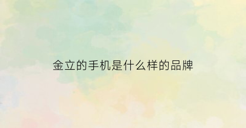 金立的手机是什么样的品牌(金立手机是品牌手机吗)