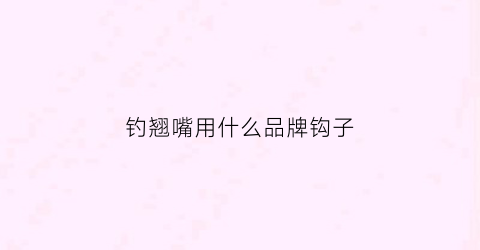 钓翘嘴用什么品牌钩子(钓翘嘴用什么品牌钩子好)