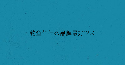 钓鱼竿什么品牌最好12米(买个12米鱼竿哪个好)
