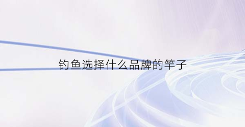 钓鱼选择什么品牌的竿子(钓鱼选什么鱼竿)