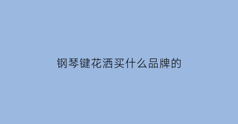钢琴键花洒买什么品牌的(钢琴琴键是什么材质的好)