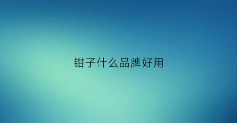 钳子什么品牌好用(钳子什么品牌的好)