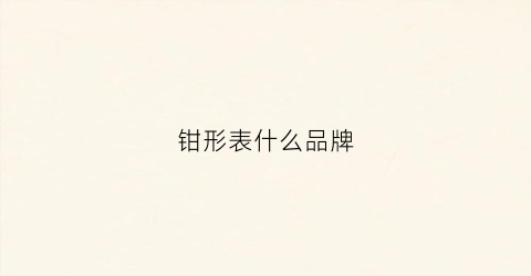 钳形表什么品牌(钳型表什么牌子好)
