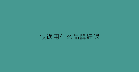 铁锅用什么品牌好呢(铁锅用什么品牌好呢知乎)