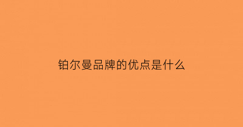 铂尔曼品牌的优点是什么(铂尔曼家私是不是牌子)