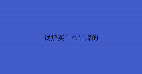 锅炉买什么品牌的(锅炉什么牌子的好)